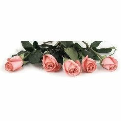 Best deal ✨ Stationery Great Papers! Pink Rose Petals Letterhead, Multicolor, 80/Pack (2013192) 🛒