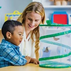 Outlet 💯 Habitats Insect Lore Products Animal Study, Live Butterfly Garden® 🎉 -legal paper Store unnamed file 5148