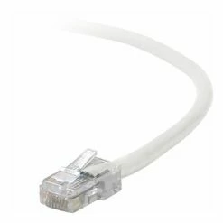 Coupon 😍 Ethernet Cables Belkin Patch Cable 14 Ft White B2B 🎉