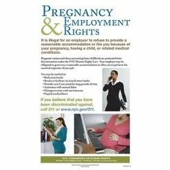 Flash Sale ❤️ Federal & State Posters ComplyRight™ New York City Pregnancy & Employment Rights Poster (ENY0003) 💯