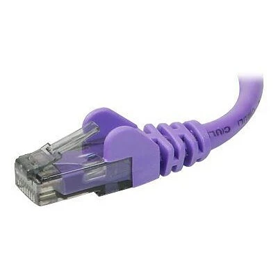 Best Pirce 🧨 Ethernet Cables Belkin A3L980-14-PUR-S 14' RJ-45 Male/Male Cat6 Snagless Patch Cable, Purple 🔥 4 Best Pirce 🧨 Ethernet Cables Belkin A3L980-14-PUR-S 14' RJ-45 Male/Male Cat6 Snagless Patch Cable, Purple 🔥 - Image 2